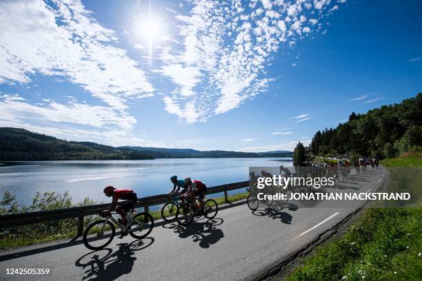 The peloton rides during the 159,1 km fourth and final stage of the Arctic Race of Norway between Trondheim and Trondheim in Norway on August 14,...