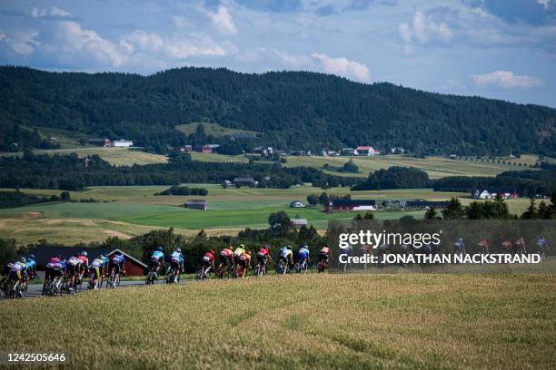 The peloton rides during the 159,1 km fourth and final stage of the Arctic Race of Norway between Trondheim and Trondheim in Norway on August 14,...