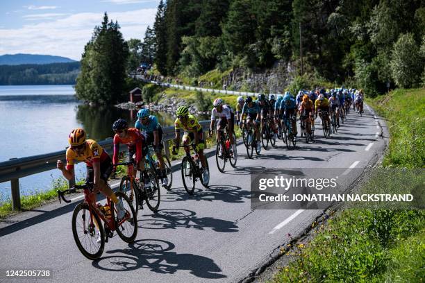 The peloton rides during the 159,1 km fourth and final stage of the Arctic Race of Norway between Trondheim and Trondheim in Norway on August 14,...