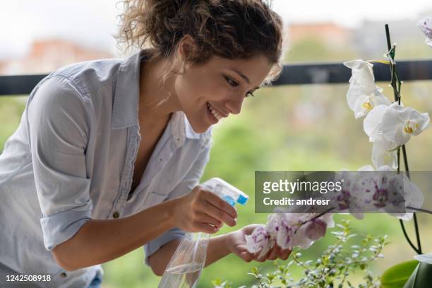 mujer feliz en casa regando las plantas y sonriendo - orchid fotografías e imágenes de stock