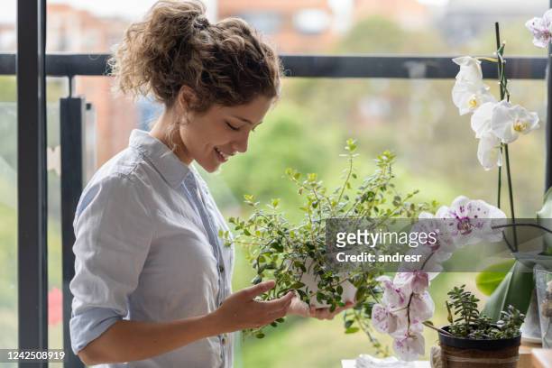 gelukkige vrouw thuis die haar huistuin verzorgt - plant stem stockfoto's en -beelden