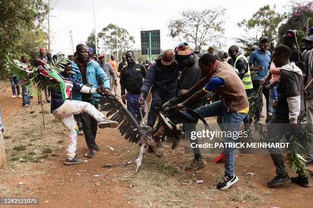 Supporters of Kenya's Azimio La Umoja Party presidential candidate Raila Odinga kills a Marabou stork while calling it 'Ruto' outside Bomas in...