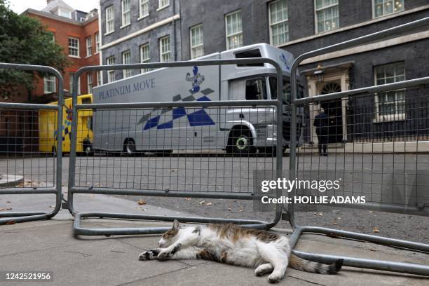 Larry the cat lies near moving trucks parked outside Number 10 and 11 Downing Street in central London on August 15, 2022. - Britain's outgoing Prime...