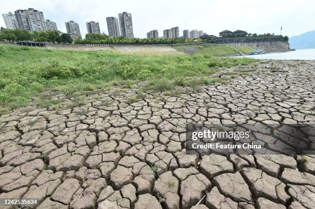 View of the riverbed revealed after the water level dropped in the Yangtze River in Yunyang county in southwest China's Chongqing Municipality...