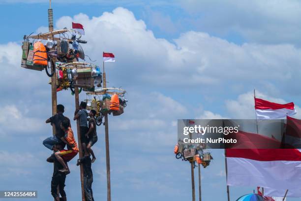 Participants struggle to climb a greasy pole to claim prizes in the &quot;Panjat Pinang&quot; race during the celebration of Indonesia's 77th...