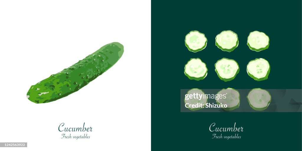 Cucumber from background of white and dark green