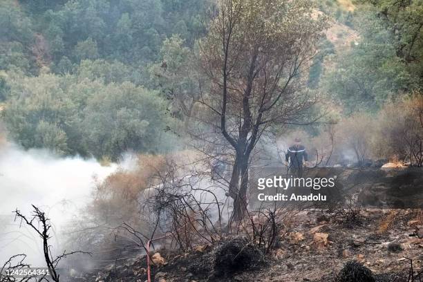 Firefighters intervene by land to control a wildfire in Setif, Algeria on August 17, 2022. In a statement on Algerian official television, Algerian...