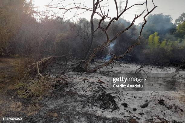 General view of the wildfire in Setif, Algeria on August 17, 2022. In a statement on Algerian official television, Algerian Interior Minister Kemal...