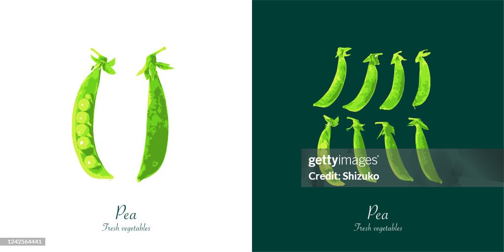 Peas from background of white and dark green