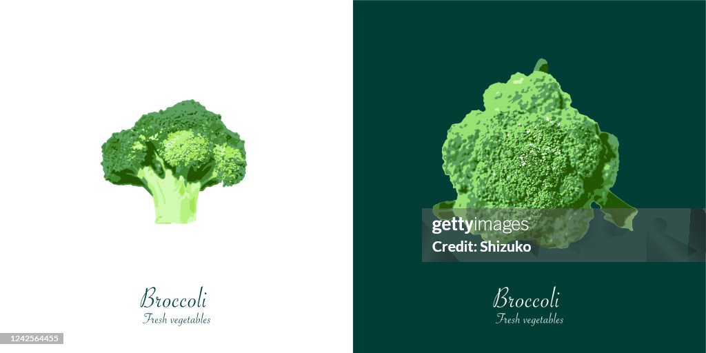 Broccoli from background of white and dark green
