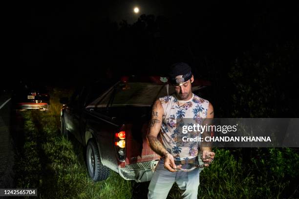 Professional python hunter, hired by the Florida Fish and Wildlife Conservation Commission Enrique Galan catches a Burmese python, in Everglades...