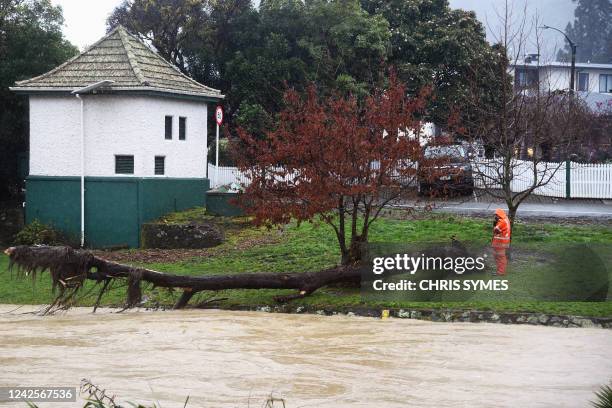 Man looks at a damaged tree beside the Maitai river in Nelson on August 18 after the city experienced flash floods caused by a storm. - Hundreds of...