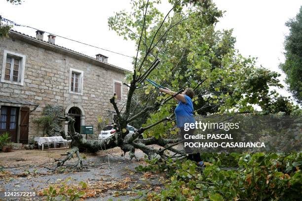 Woman starts to cut a tree which fell down in Marato, close to Cognocoli Monticchi after strong winds on the French Mediterranean island of Corsica...