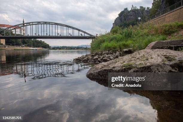 Prolonged drought lowered the level of the Elbe River so much that the so-called Hunger Stone, one of the oldest hydrological monuments in Central...