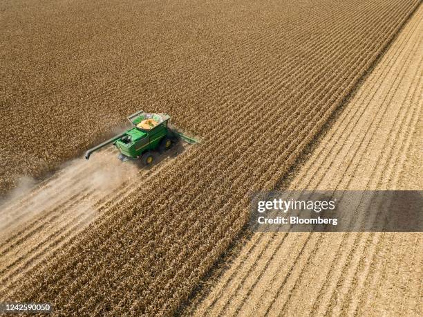 Combine tractor harvests corn in Leland, Mississippi, US, on Tuesday, Aug. 16, 2022. Corn was stable before a US crop tour that will give more...