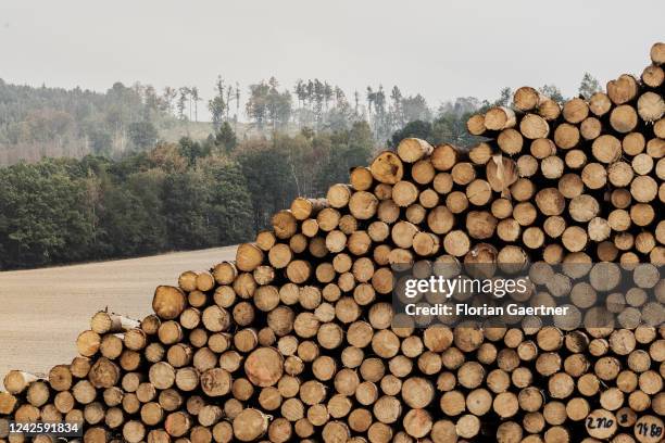 Germany Logging 64 Symbole Europe Photos & High Res Pictures - Getty Images