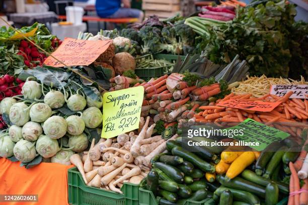 August 2022, Hessen, Frankfurt/Main: Fresh vegetables are already ready for sale in the early morning at the producers' market in downtown Frankfurt....
