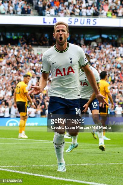 Harry Kane of Tottenham Hotspur celebrates scoring the opening goal during the Premier League match between Tottenham Hotspur and Wolverhampton...