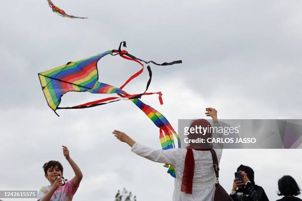 afghan kites
