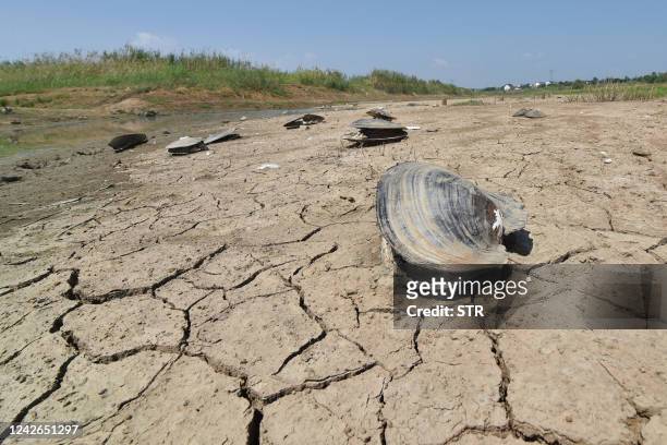 This photo taken on August 21, 2022 shows dry sections of a lake in Nanjing in China's eastern Jiangsu province. - China OUT / China OUT