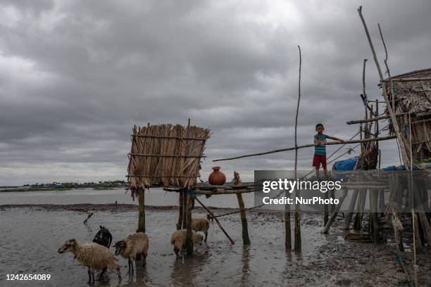 Boy seen going to the hanging toilet at Kalabogi village in Khulna. Not too long ago Kalabogi, a coastal village in Bangladesh, was full of...