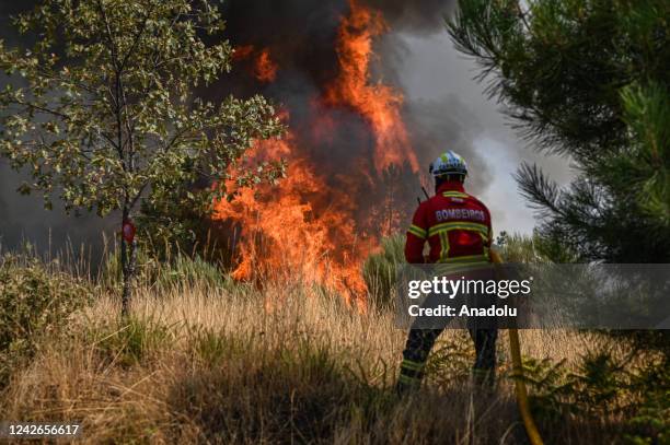 Firefighters holdÂ water hoses as they try to contain a wildfireÂ in Sao Tome do Castelo, Portugal on July August 22, 2022. Since yesterday early...