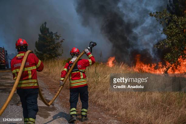 Firefighters holdÂ water hoses as they try to contain a wildfireÂ in Sao Tome do Castelo, Portugal on July August 22, 2022. Since yesterday early...