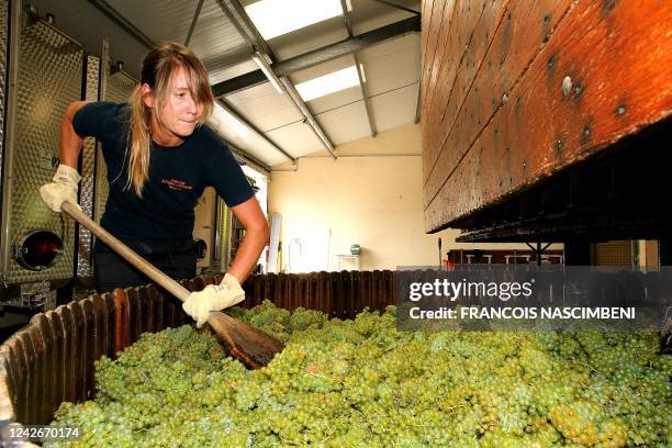 Winegrowers load a traditional wine press with Chardonnay grapes for Champagne wine during the harvest, in Montgueux, central France, on August 23,...