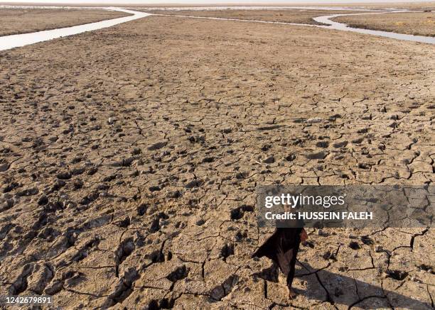 Child walks on the dried-up bed of Iraq's receding southern marshes of Chibayish in Dhi Qar province on August 23, 2022.