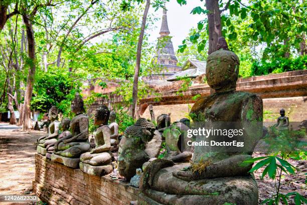 wreckage of buddha statue at wat u mong temple, chiangmai, thailand - wat imagens e fotografias de stock