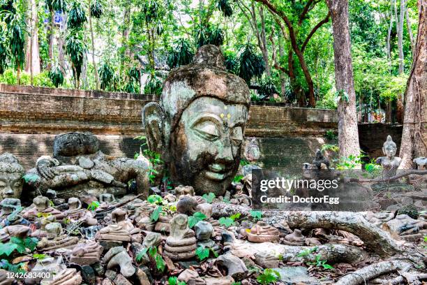 wreckage head of buddha statue at wat u mong temple, chiangmai, thailand - wat imagens e fotografias de stock