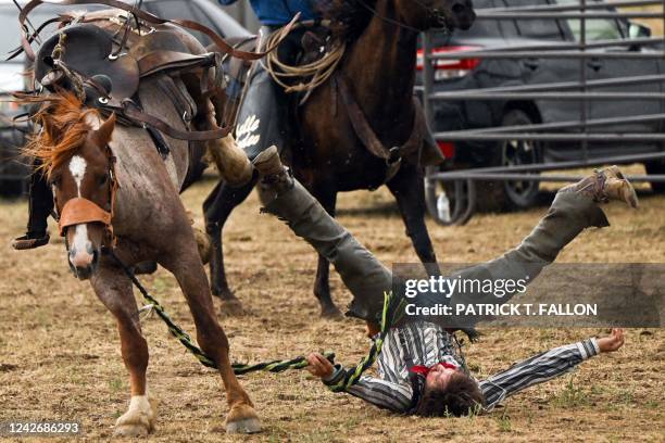 Bronco Riding Fall 61 Wyoming Bucking Horse Stock Photos, High-Res Pictures, and Images ...