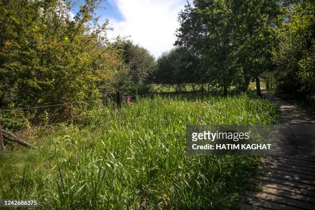The Doode Bemde nature reserve in Huldenberg pictured on Wednesday 24 August 2022, the location of a press moment to present a groundwater...