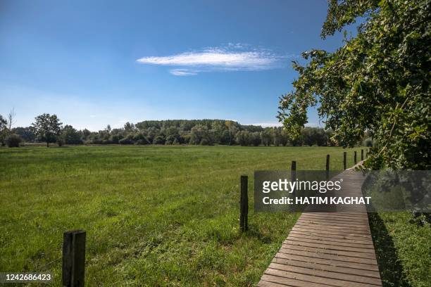 The Doode Bemde nature reserve in Huldenberg pictured on Wednesday 24 August 2022, the location of a press moment to present a groundwater...
