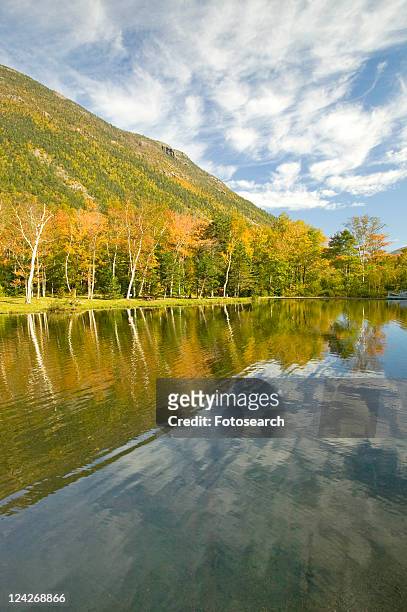 shoreline at state park - lake solitude (new hampshire) stock pictures, royalty-free photos & images
