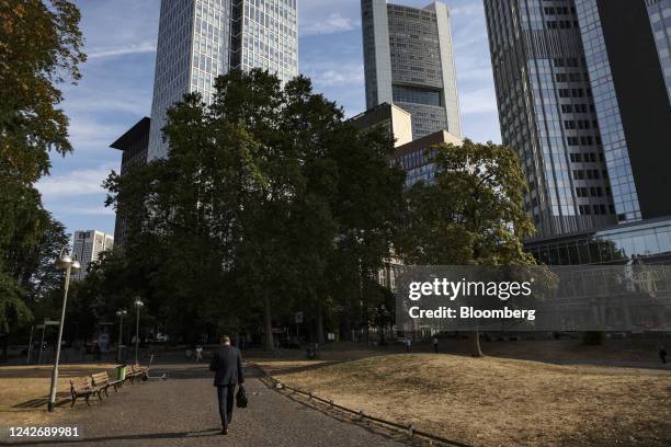 Parched grass at a park in the financial district of Frankfurt, Germany, on Wednesday, Aug. 24, 2022. The instability in natural gas prices has...