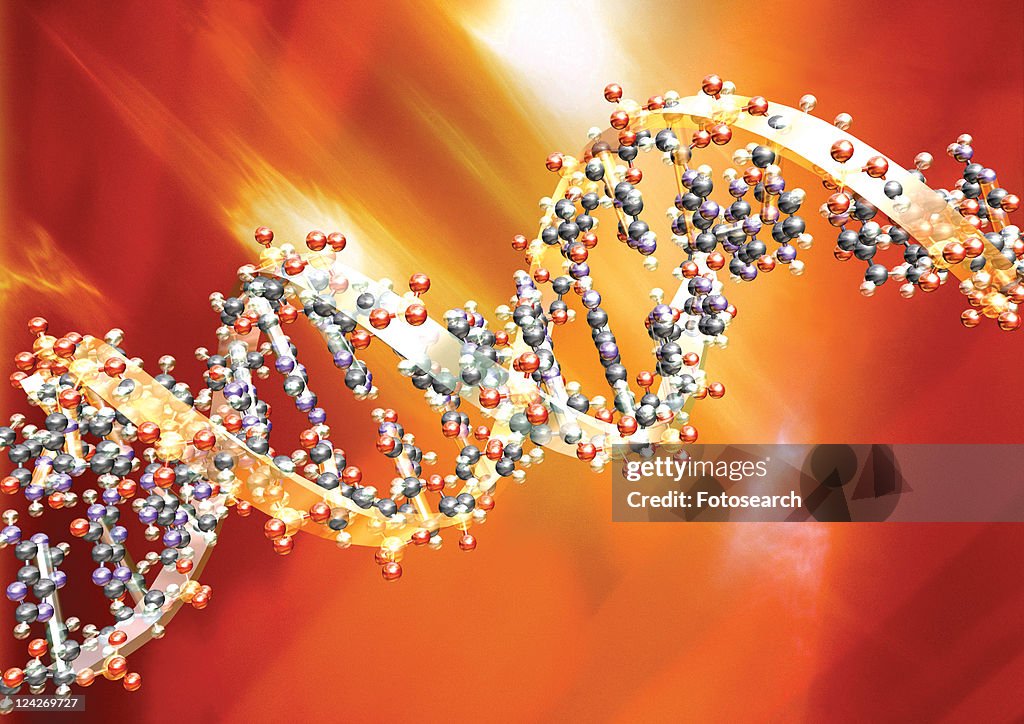 Close-up of strands of DNA