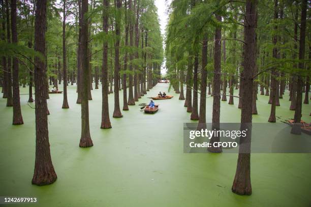 Tourists play at Luyang Lake "Floating Forest" scenic spot in Yangzhou, East China's Jiangsu Province, Aug 24, 2022.