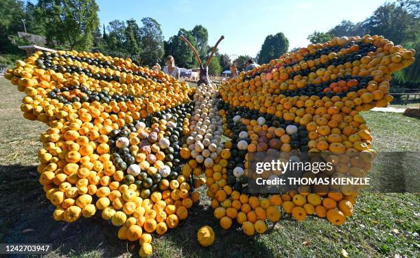 Woman looks at a butterfly made of pumpkins at a pumpkin exhibition in the garden of Ludwigsburg Castle in Ludwigsburg, southern Germany, on August...