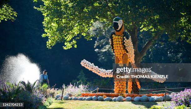 Gardener waters flowers next to a parrot made of pumpkins at a pumpkin exhibition in the garden of Ludwigsburg Castle in Ludwigsburg, southern...