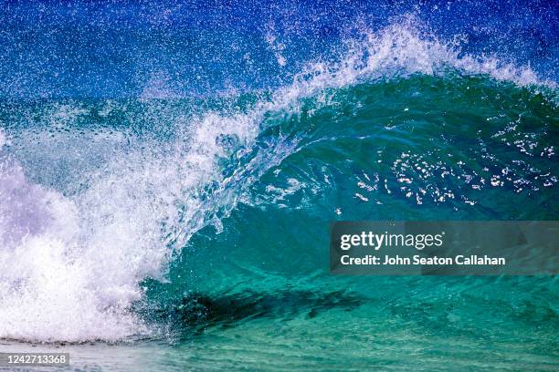 usa, hawaii, winter wave at ehukai beach park - surf tube stock-fotos und bilder