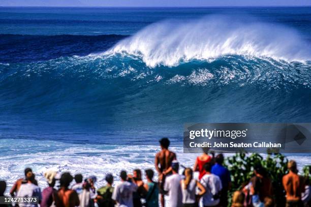 usa, hawaii, winter waves at waimea bay - waimea bay hawaii stock pictures, royalty-free photos & images