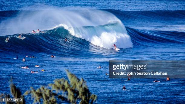 usa, hawaii, winter surfing at sunset beach - north shore oahu stock pictures, royalty-free photos & images