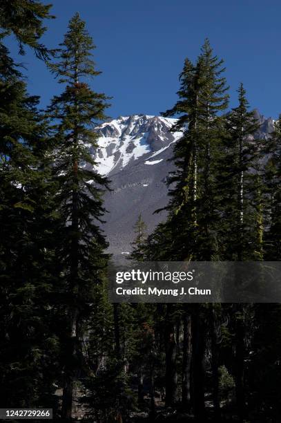 July 16: On June 6, five people fell on Mt. Shastas icy surface resulting in the death of a professional mountain guide. On average, there are 10...