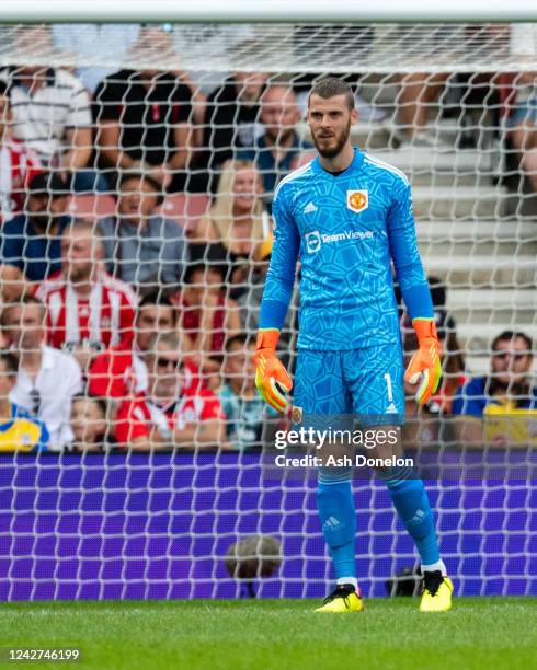 David De Gea of Manchester United in action during the Premier League match between Southampton FC and Manchester United at Friends Provident St....