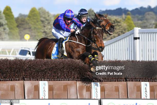 St Arnicca ridden by William McCarthy jumps a steeple on the way to winning the Ecycle Solutions Grand National Steeplechase at Sportsbet-Ballarat...