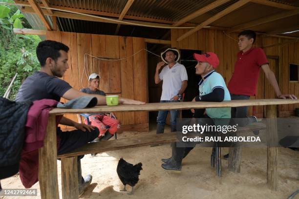 Former rebels of the dissolved Revolutionary Armed Forces of Colombia prepare to work in a coca plantation in Catatumbo, Norte de Santander...