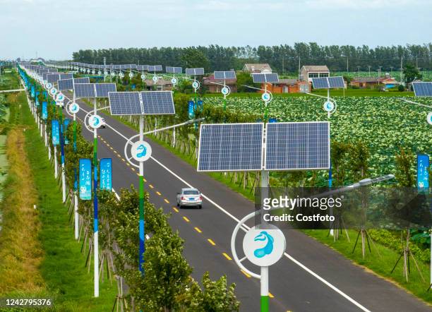 Solar-powered street lamps are seen along the road on the south side of Baima Lake Bridge in Huai 'an, East China's Jiangsu Province, Aug 28, 2022.