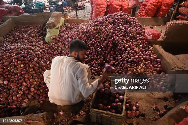 Labourer sorts onions in the main market of Lahore on August 29 amid a big hike in prices of food items in the wake of massive floods in Pakistan. -...