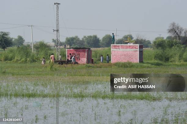 Farmers gather around rice crops damaged by flood waters in Shikarpur of Sindh province on August 30, 2022. - Aid efforts ramped up across flooded...